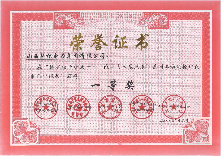 華松電力集團有限公司